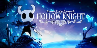 Hollow Knight Game